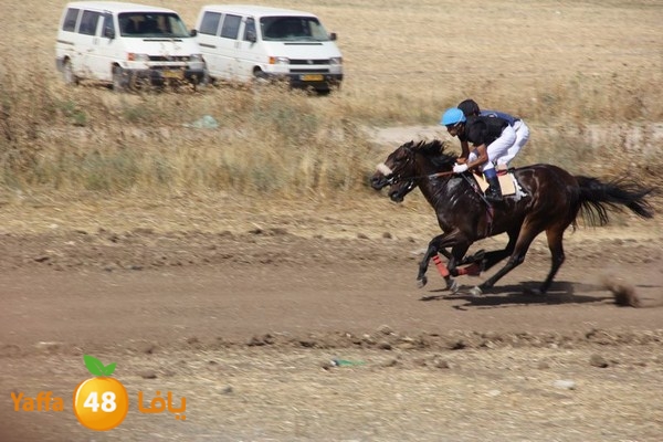 horse race 0602 (1).JPG